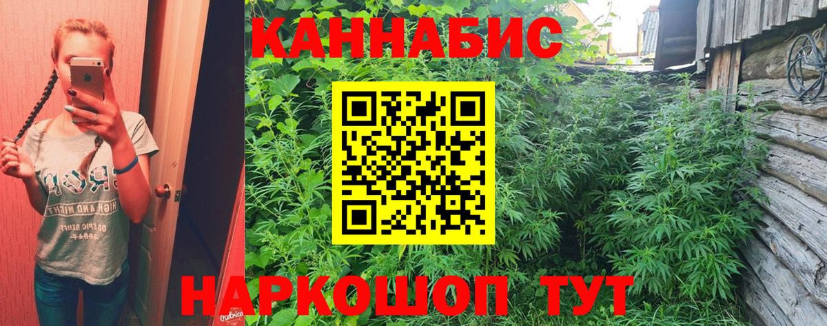 Конопля сатива Малоярославец
